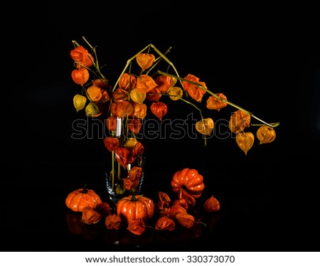 pumpkins and cape gooseberry on black background