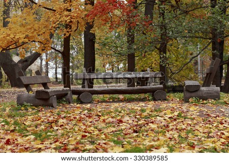 Autumn in the park. In the picture there are three wooden benches.