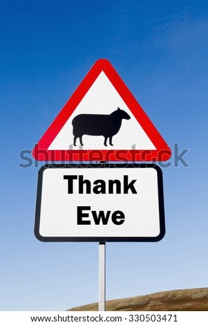 Red and white triangular road sign with a Thank Ewe play on words concept against a partly cloudy sky background
