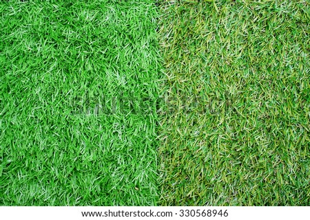 Artificial grass field texture and background