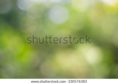 Abstract nature green background 
