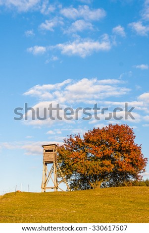 Lonely tree on a vast glade with hunting pulpit