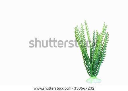 artificial  green marine plant on white background