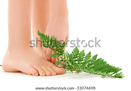 picture of female feet with green leaf over white