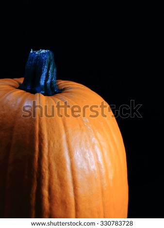 Halloween Giant Pumpkin on black