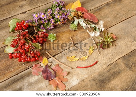 funny face made up of many different colorful autumn leaves, flowers , berries on wooden background. Funny autumn woman portrait made of autumn hair