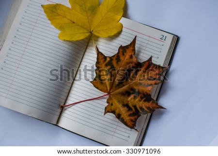 Vintage book, open with yellow leaf
