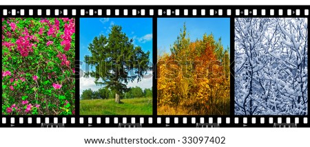 Nature seasons in film frames (my photos) isolated on white background