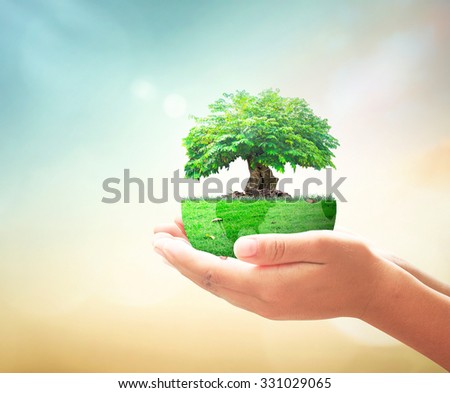Go green home service concept: Human hands holding earth globe of trees on blurred autumn sunrise background Royalty-Free Stock Photo #331029065