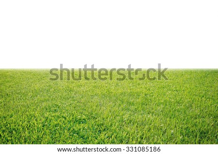 green grass meadow field from outdoor park isolated in white background