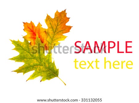 Colorful Fall leaves framing a message area
