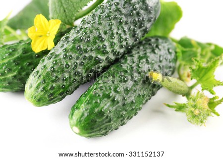 Fresh cucumbers with leafs on white background, close up