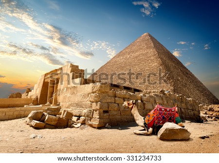 Camel rests near ruins of entrance to pyramid Royalty-Free Stock Photo #331234733