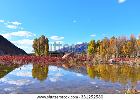Red meadow under blue sky with Yellow Tree and Mountain in Daocheng, SiChuna, China