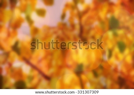 Natural background abstract