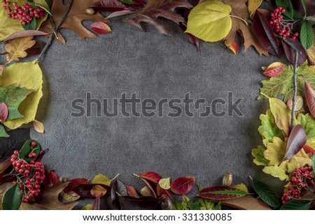 Autumn leaves background. Frame.