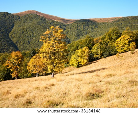 Carpathian Mountains (Ukraine) landscape. Two shots composite picture.