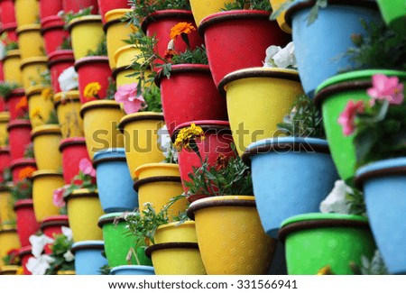 Multicolor pots with flowers