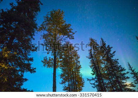 Aurora borealis in Brooks Range