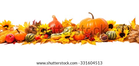 Autumn decoration arranged with dry leaves, pumpkins and more, isolated on white, wide format