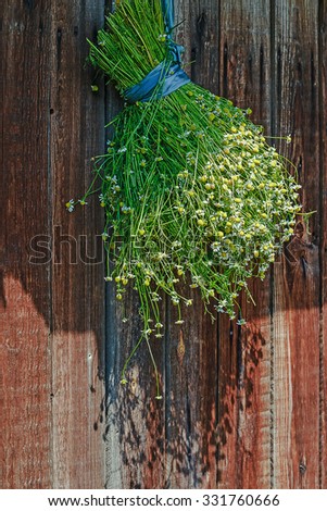 Summer. Collection of medicinal plants. Bouquet of daisies on a background of wooden planks.