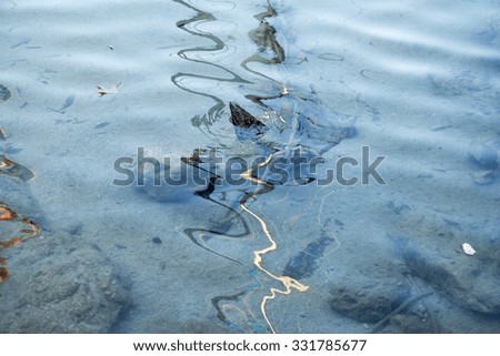 Old rusty anchor under water with distorted reflections, abstract background.