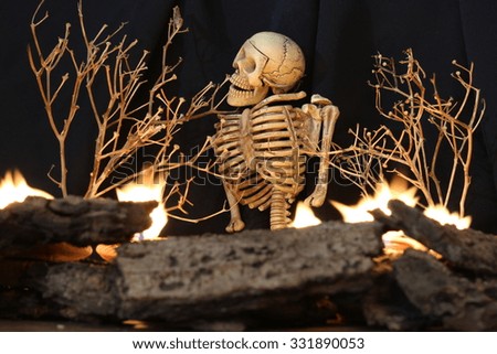 Halloween Human skeletonl on black background with dead trees and fire.