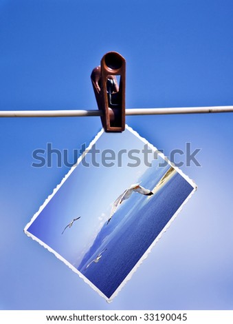 Photo hanging on a clothesline