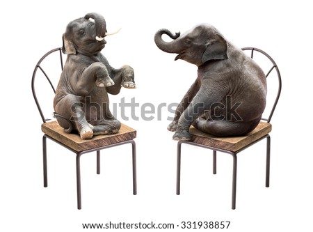 Cute baby elephant sitting on the chair isolated on white background