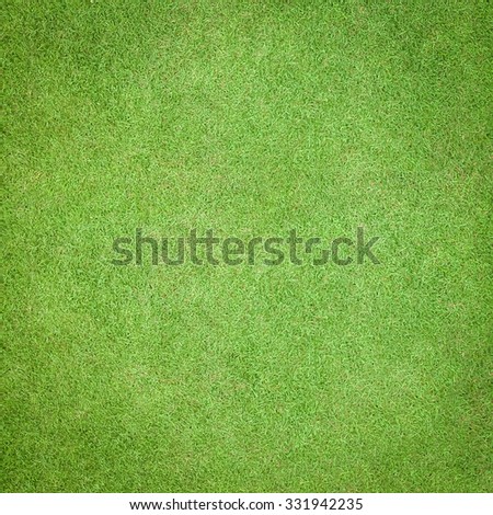 Natural grass texture pattern background golf course turf lawn from top view in bright yellow green color