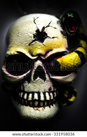 fearful skull for Halloween