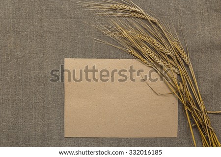 Empty paper with wheat spikelets on sacking