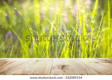 wood floor and nature background. use for display of your product