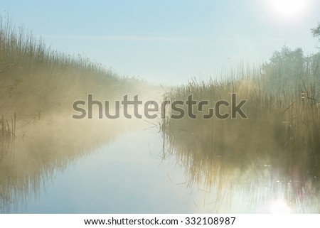 River with reed reflected in the Delta of the Volga River at foggy sunrise, Russia Royalty-Free Stock Photo #332108987