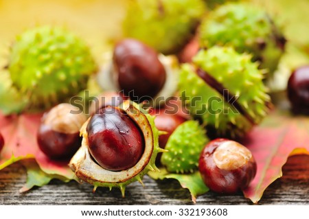 Fresh chestnuts on background autumn leaves Royalty-Free Stock Photo #332193608