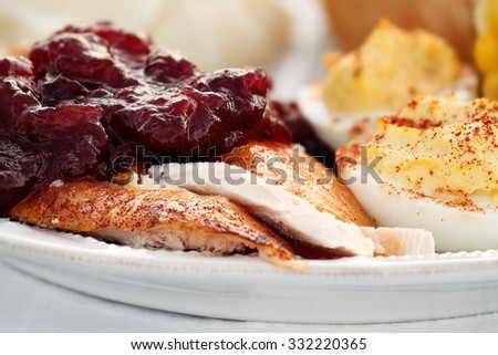 Cranberry Sauce over roast Thanksgiving turkey with all the fixings. Extreme shallow depth of field.
