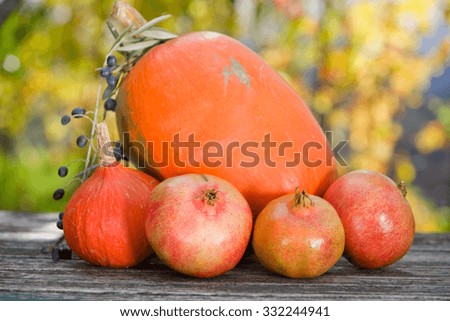 Autumn nature concept. Fall fruits outdoors on a wooden table