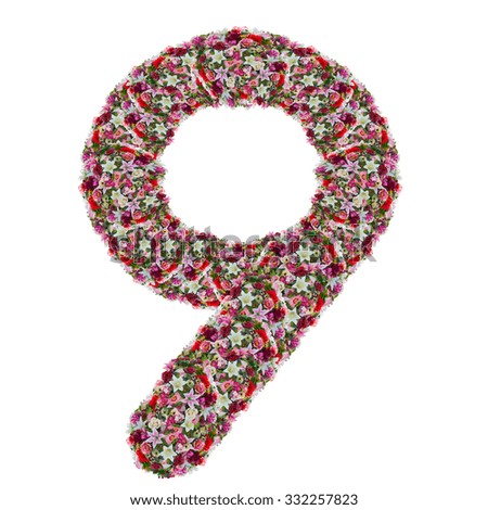 9, flower letter isolated on white background
