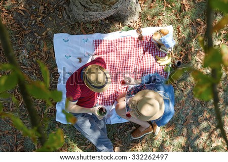 Healthy vegetarian or vegan picnic with a delicious spread of fresh food