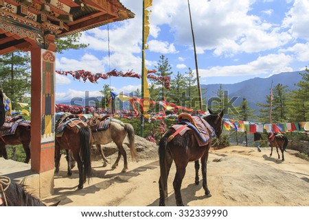 Horses for Tourists Riding up to Taktsang Palphug Monastery (The Tiger's Nest), Paro, Bhutan