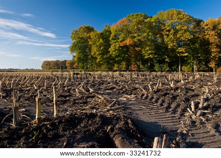 Landscape of a farmland with colorful autumn trees on a sunny day