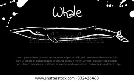 Whale.  Vector isolated illustration. Ink. Hand drawn. Black board
