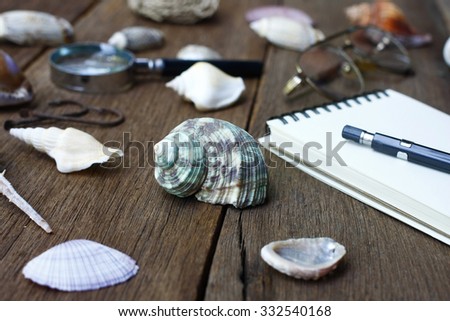 Still life seashells with different objects on wooden table background.