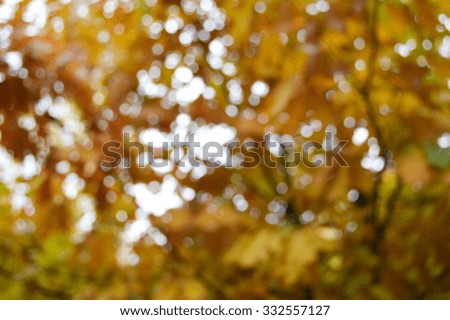 Autumn in the forest.Colorful autumn leaves.Abstract motion blurred trees in a forest.