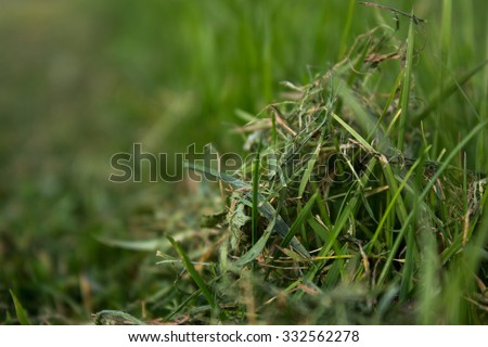 Pile Of Grass With Blur