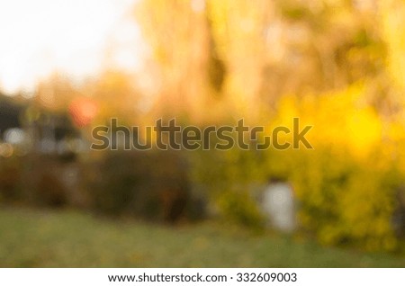 autumnal natural bokeh  for background or backdrop