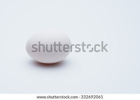 egg image on white background