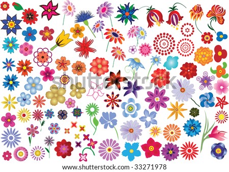 Set of colorful vector floral elements - flowers