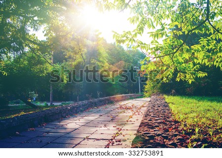 road in a park in the early morning