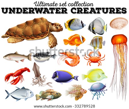 Different kind of sea animals illustration